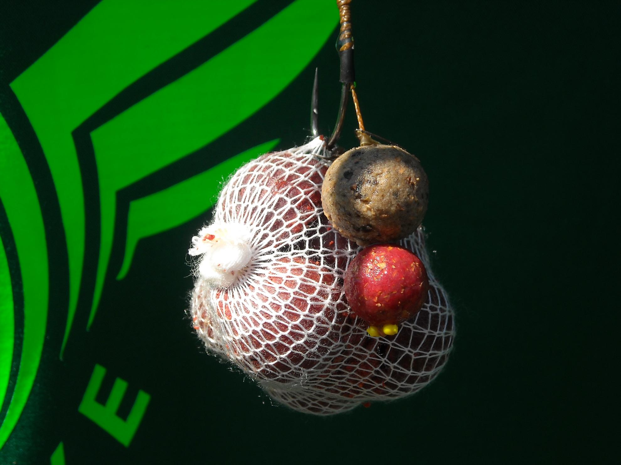 CN-2010-Chiroiu - dscn45621.jpg